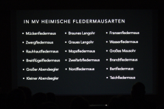 Fledermausarten in MV