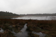 20240206_Wasserstand_gr_Moorsee