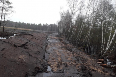 20240206_Weg_Hauptdamm_Richtung_Osten