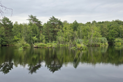 20250705_154858