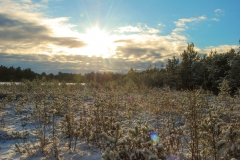 GM_Plattform-0973