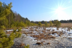 Kiebitzplatz_im_Schnee