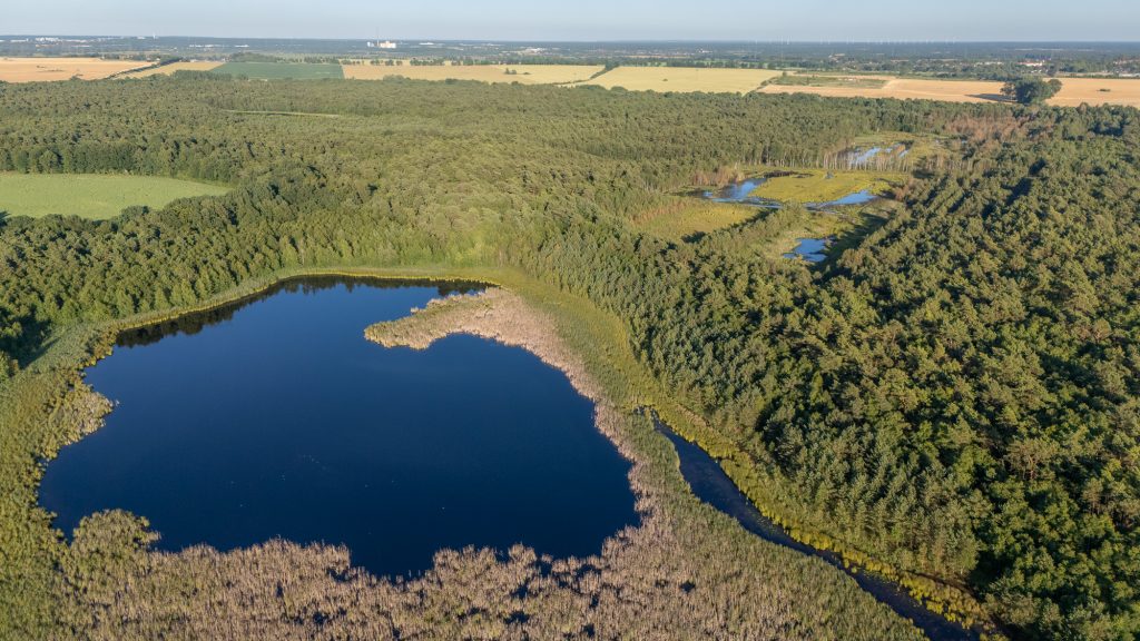 Großer Moorsee des Grambower Moors bei Schwerin. © Jens Höpping